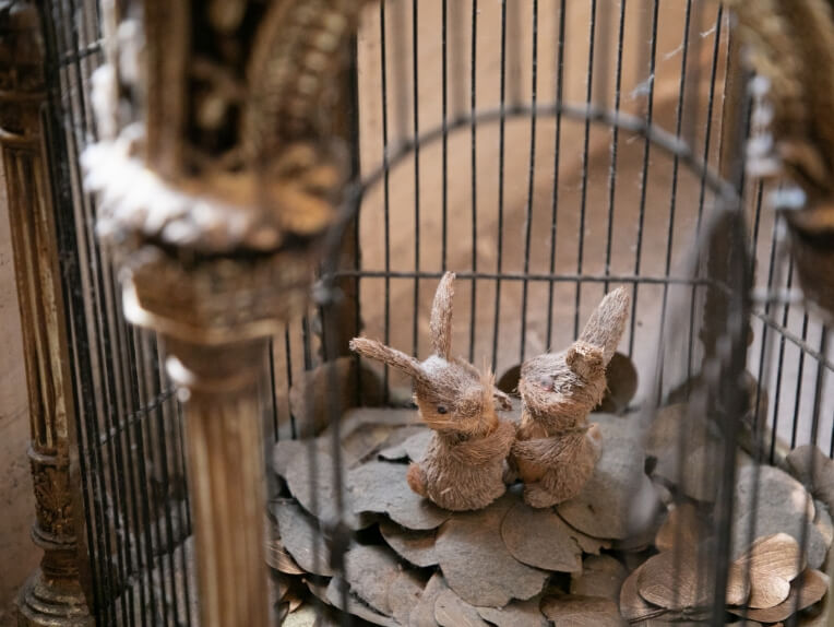 あすなろ小児歯科医院